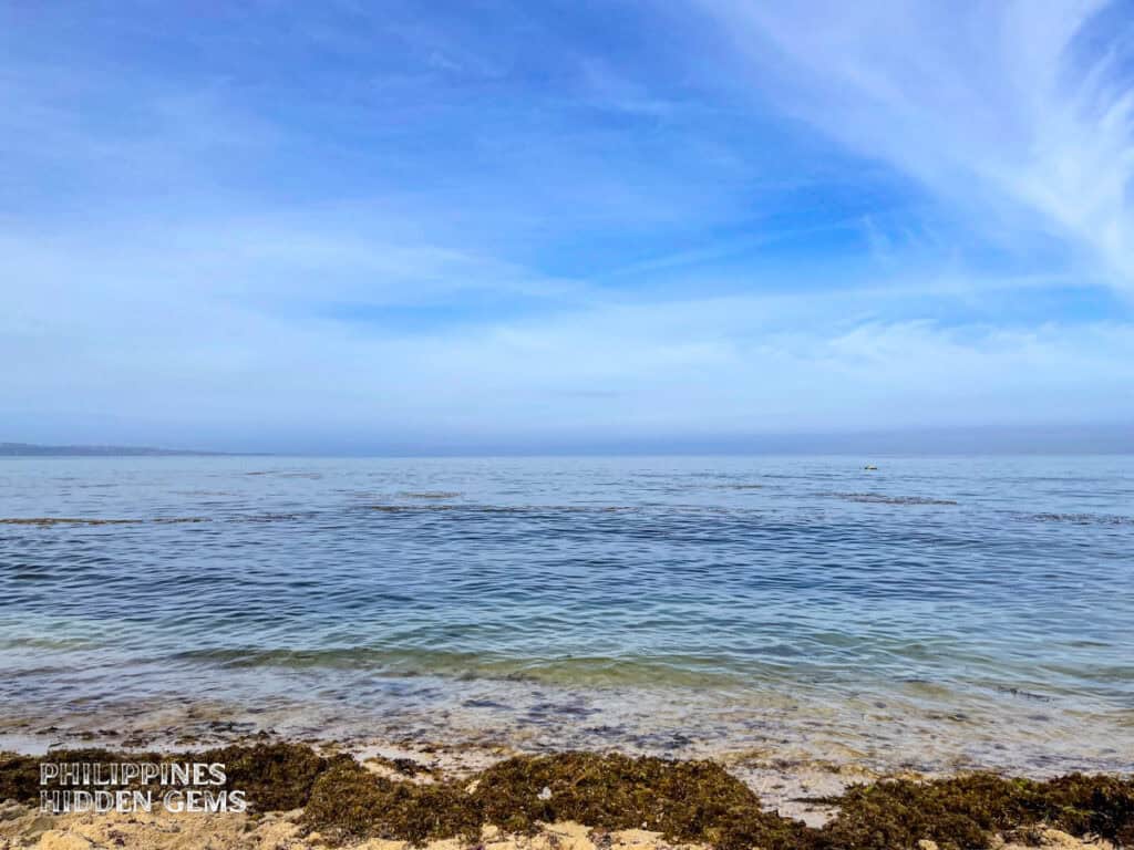 Seaweeds along the shore of Saud Beach - one of the famous beaches in Pagudpud.
