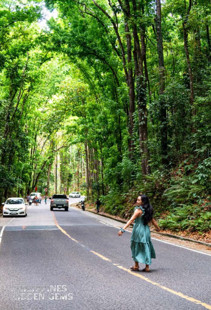 I'm walking on the center of the road for a snap with the man-made forest.