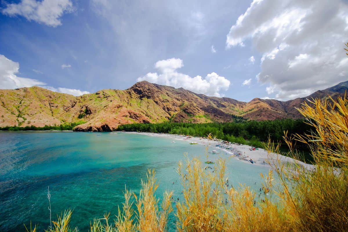 "A tranquil view of Anawangin Cove with clear blue waters, pine-like trees lining the shore, and mountains in the background — a perfect spot for quick hidden escapes from the city