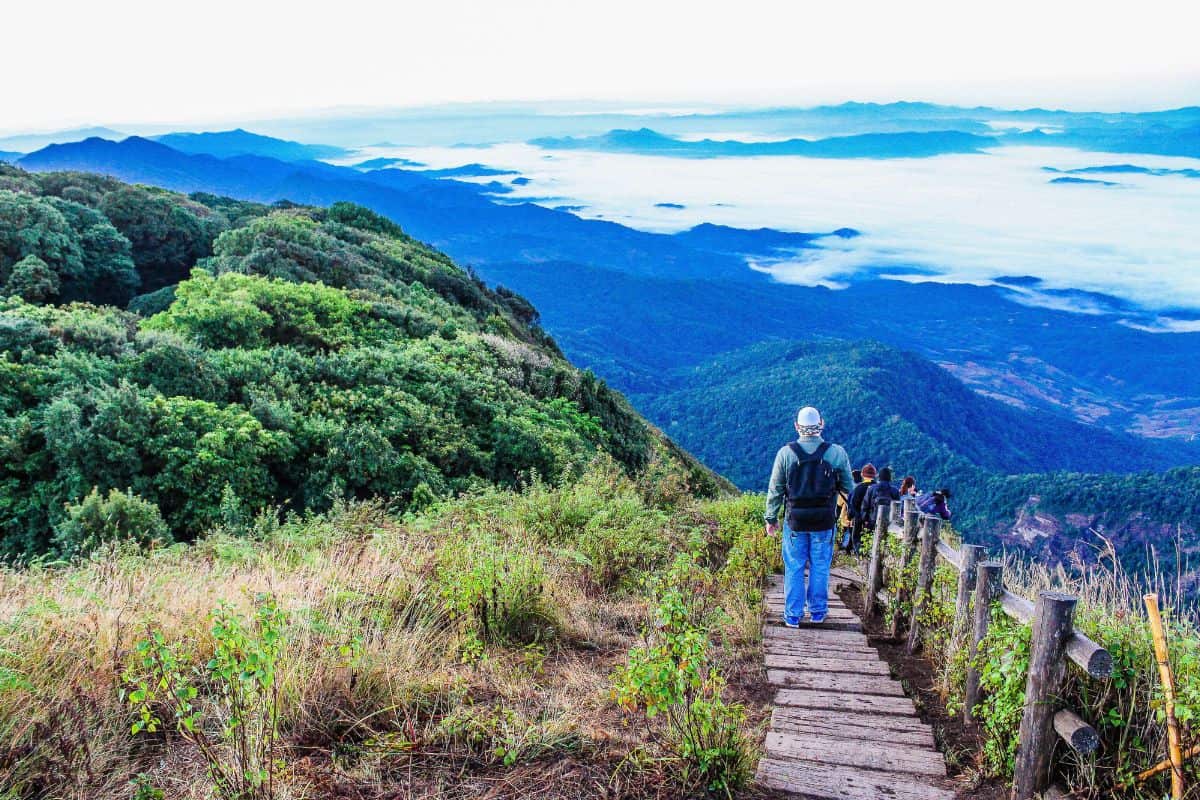 Group of hikers trekking through mountain trails surrounded by fog and ferns.