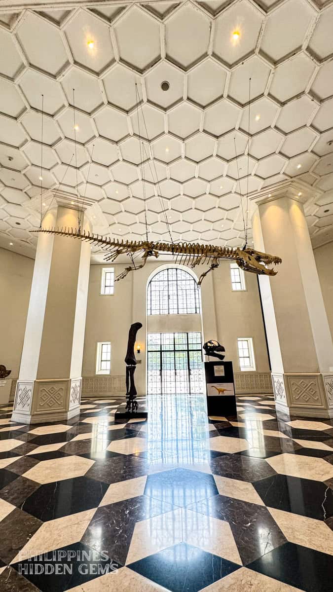 A skeleton of an animal inside the National Museum of Natural History in Manila.