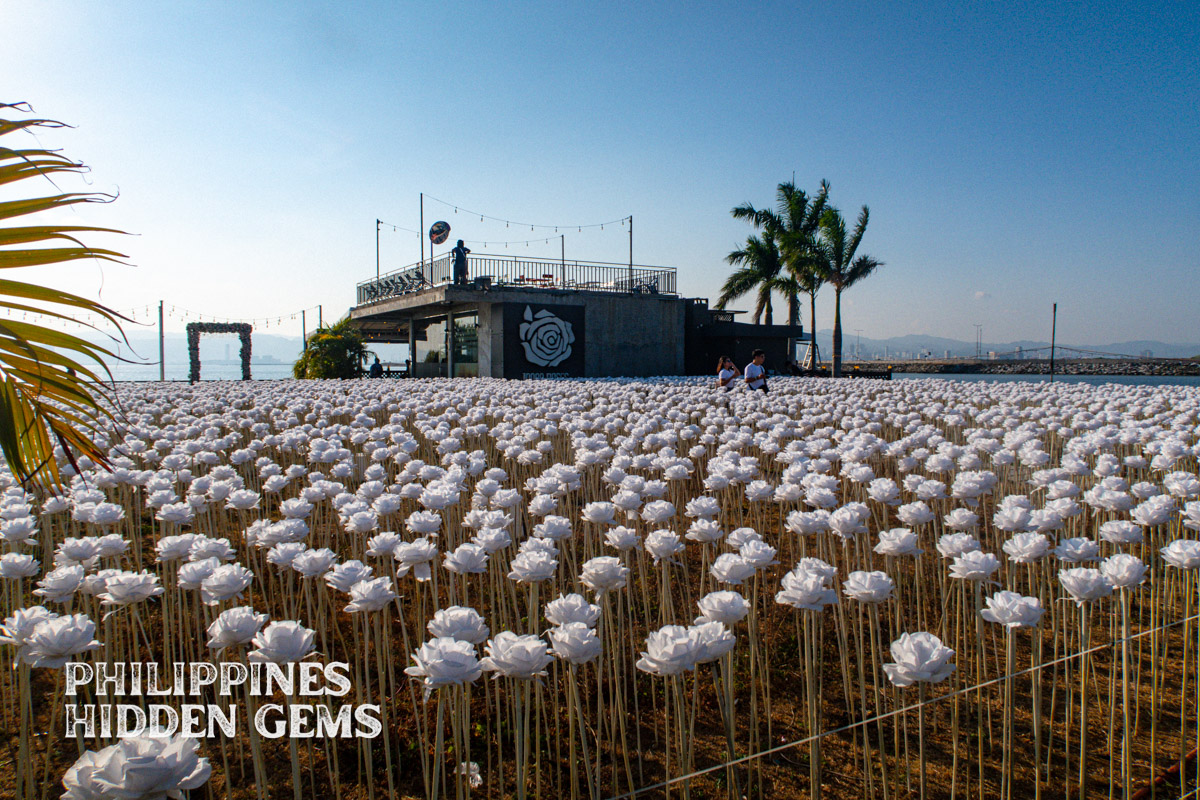 10 thousand roses in Cordova is one of the tourist spots in Cebu City.